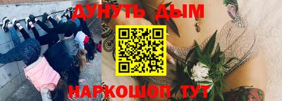 шишки Пушкино