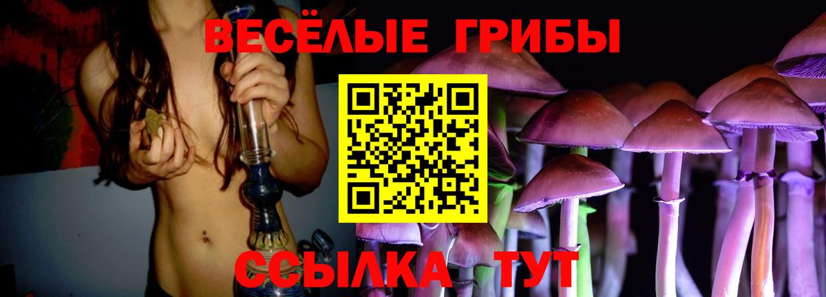 Троицк  Псилоцибиновые грибы Cubensis  Вход с VPN 